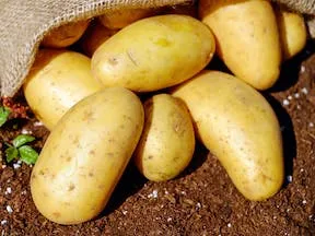 suklúji