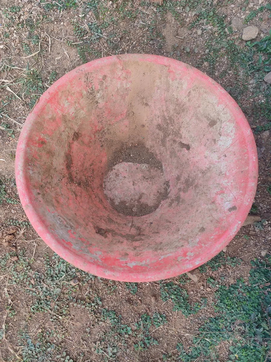 धम्मा
