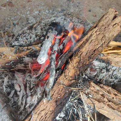 लुत्ती