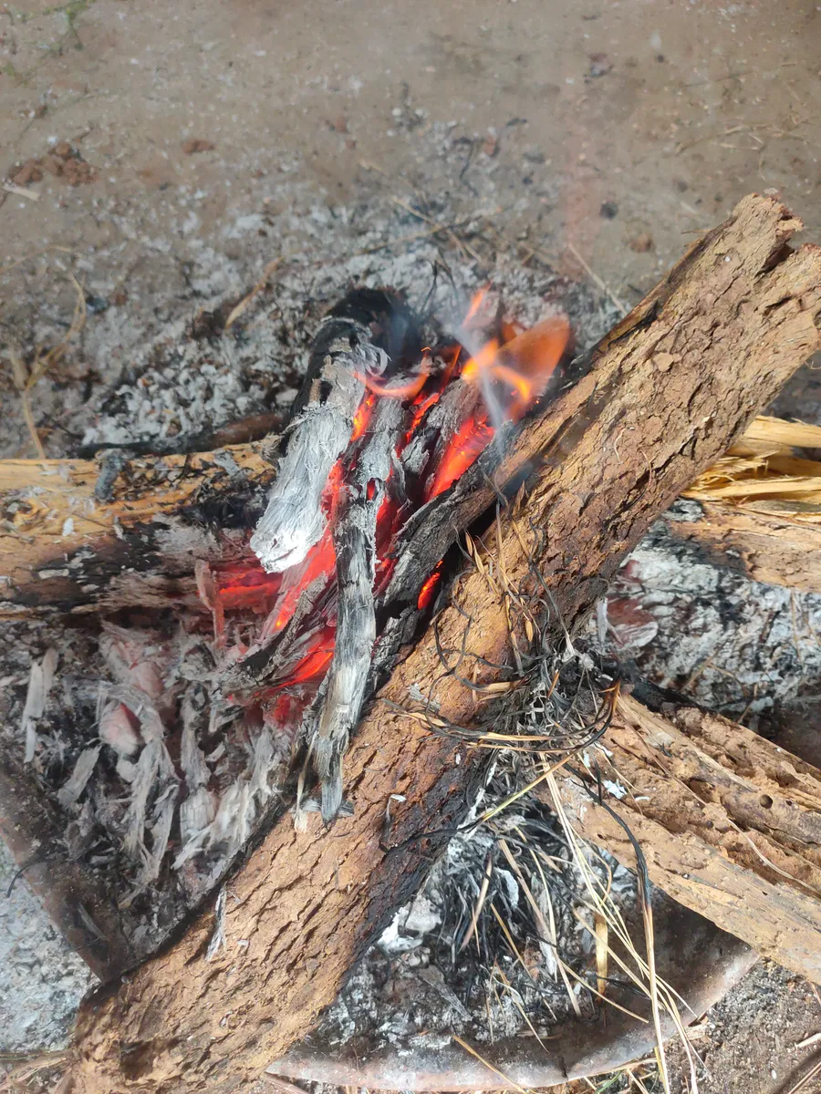 लुत्ती