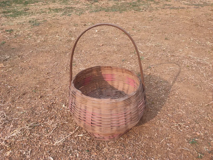 सजिया