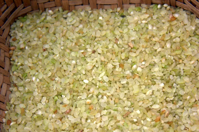 cañta