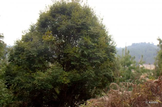 kwra
