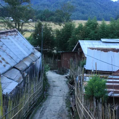 leyu