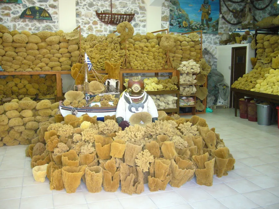 sfungará