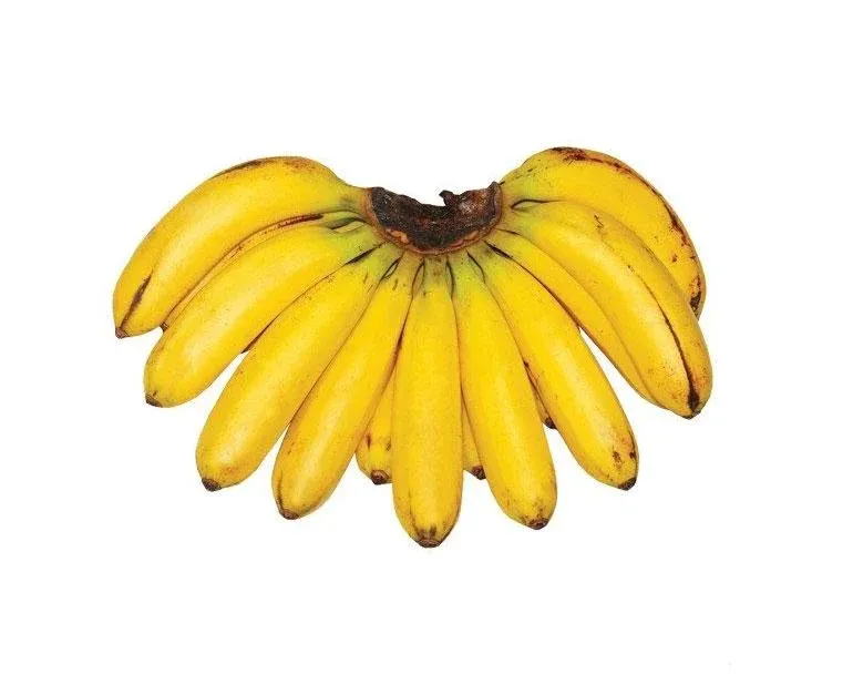 ǹsaŋ əngòm