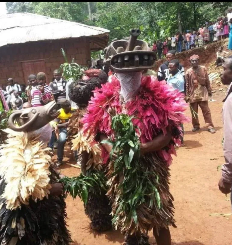 kəkum