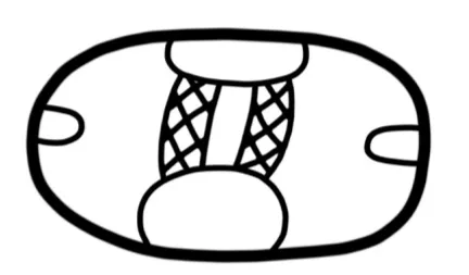 tsajal