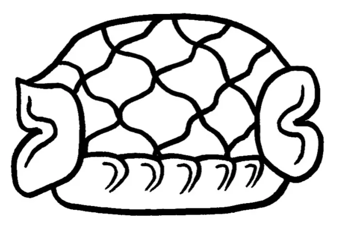 kok