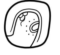 ton