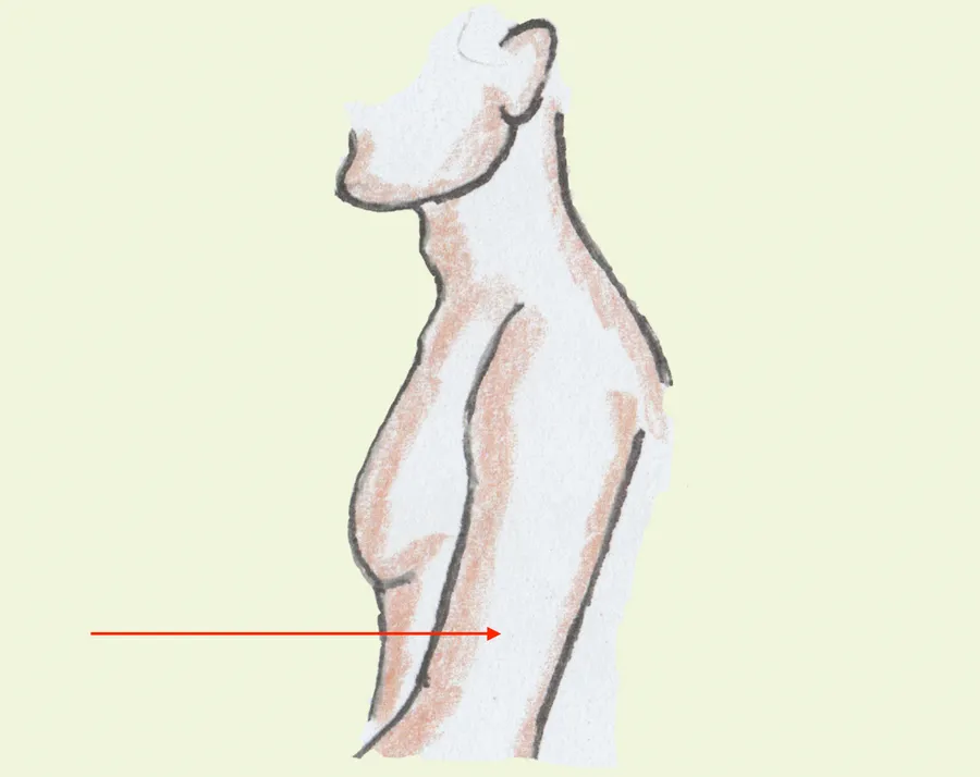 supu