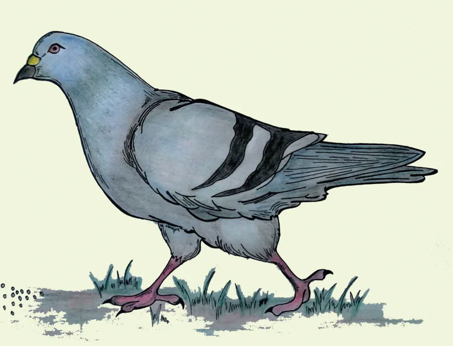 perwa