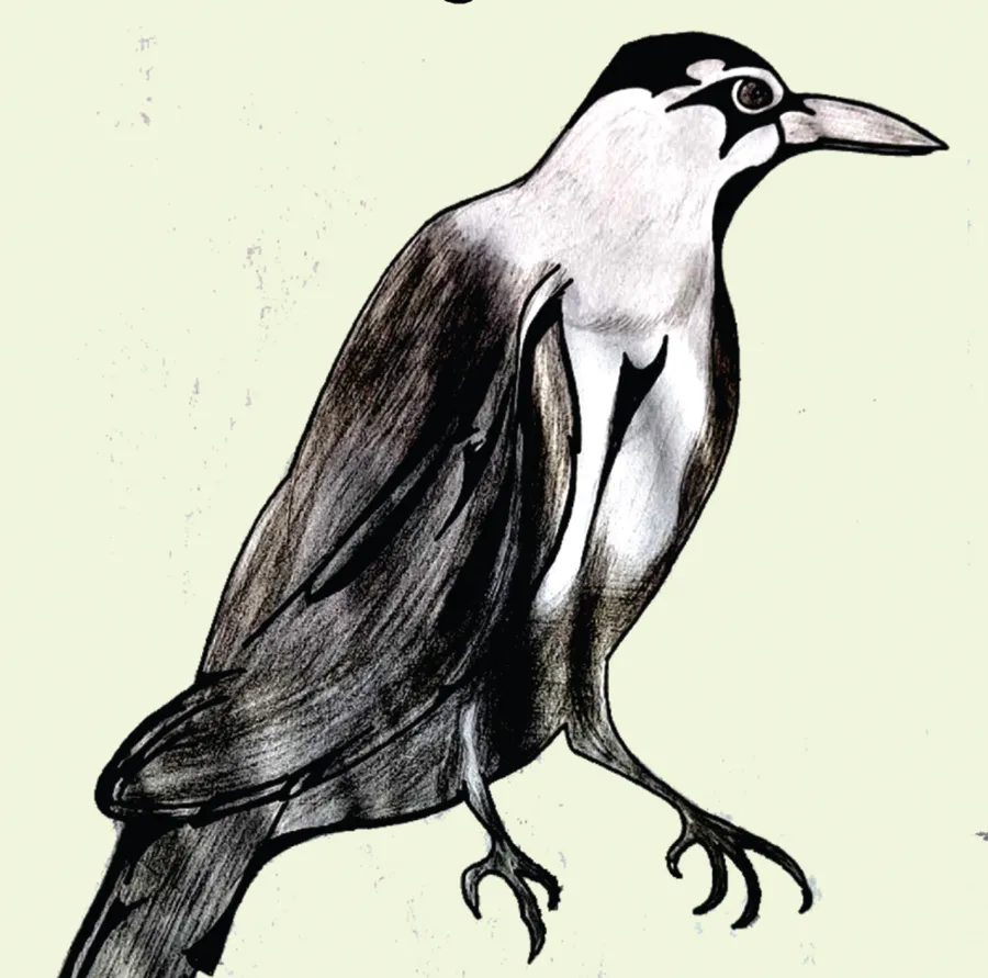 kahu