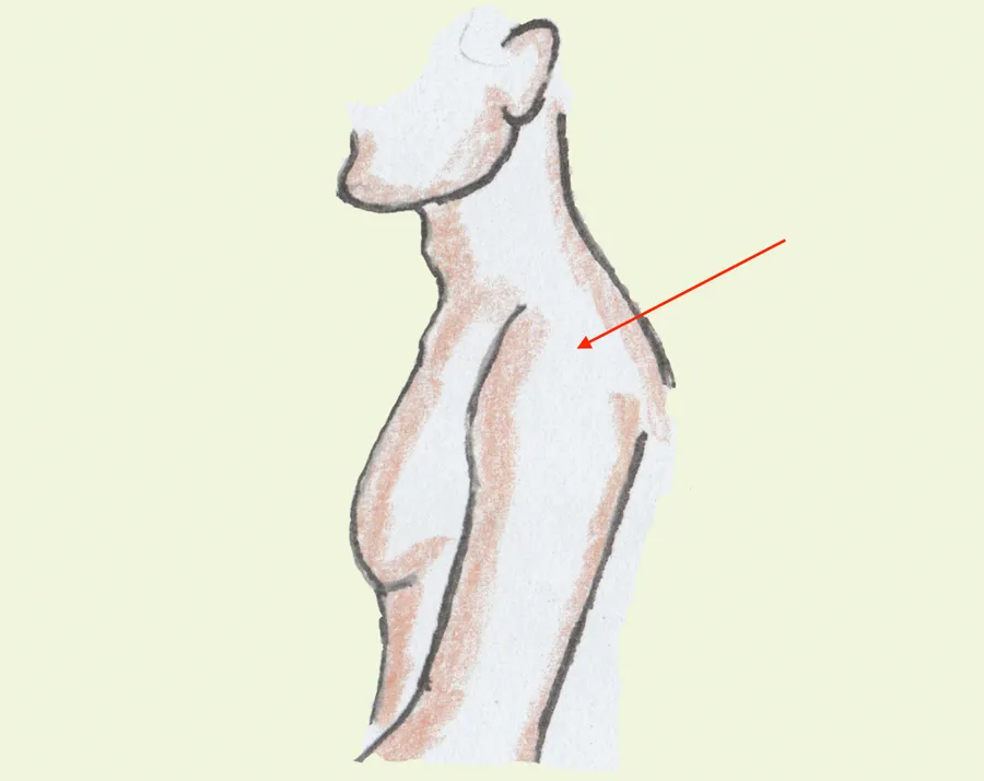 kʰandʰi