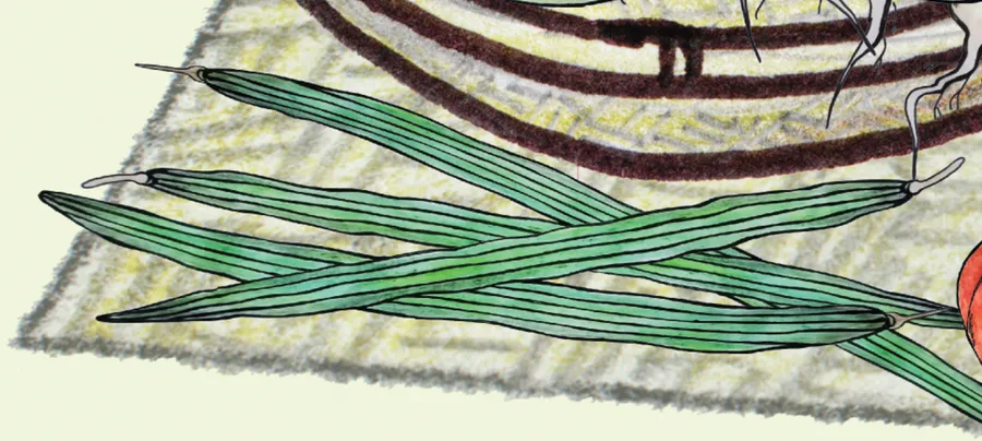 munga siʈi