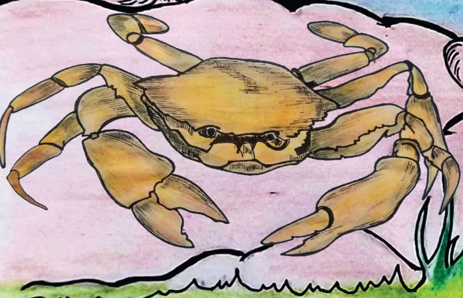 kaʈkom