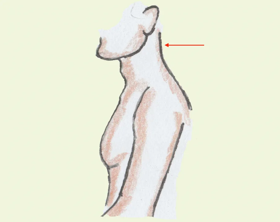 tutka