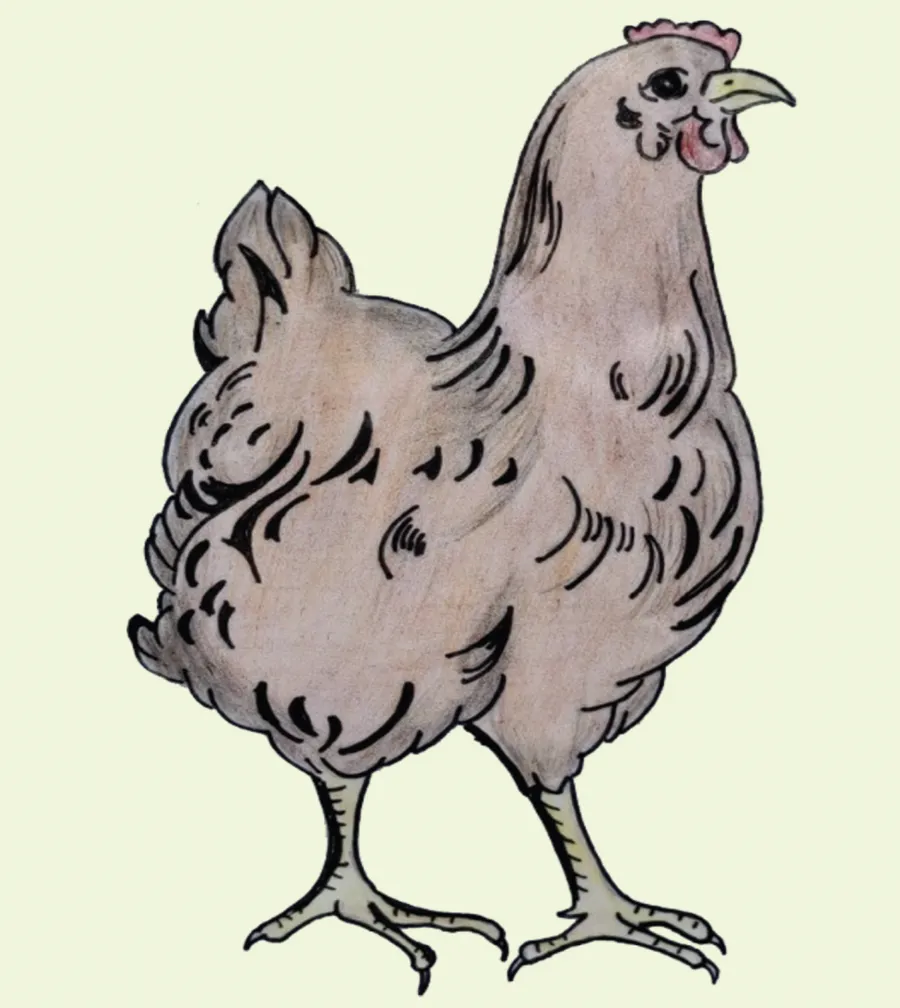 sim hopon