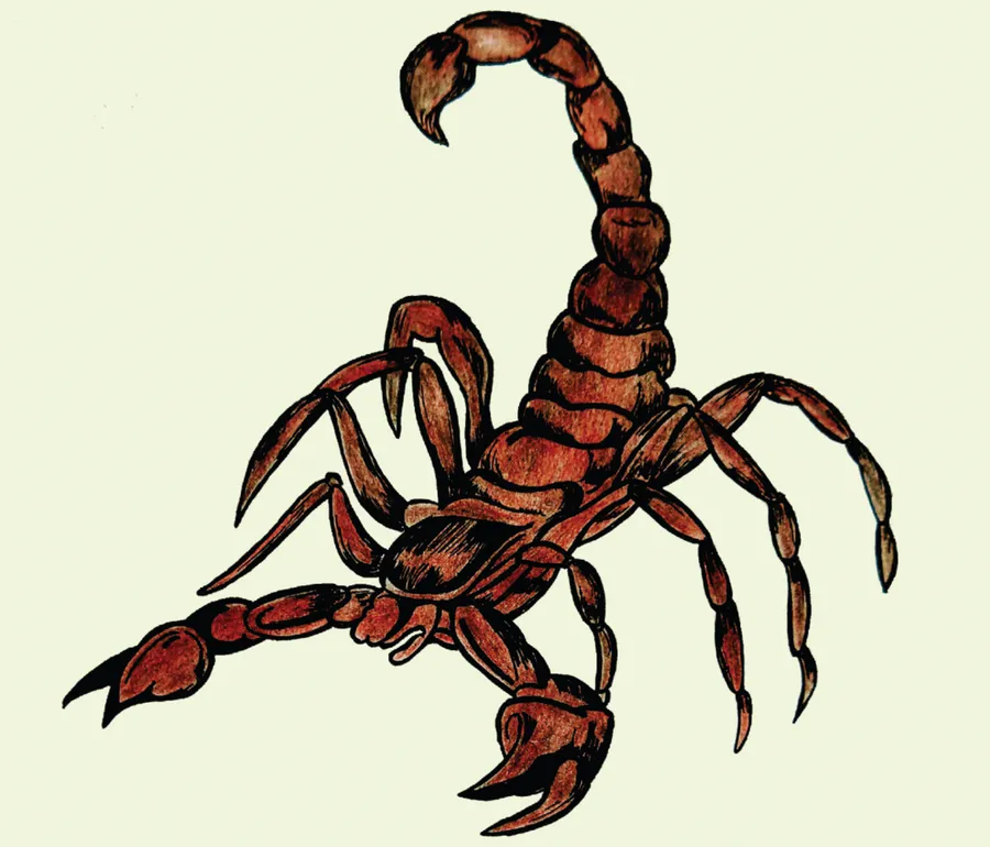 kidiŋ