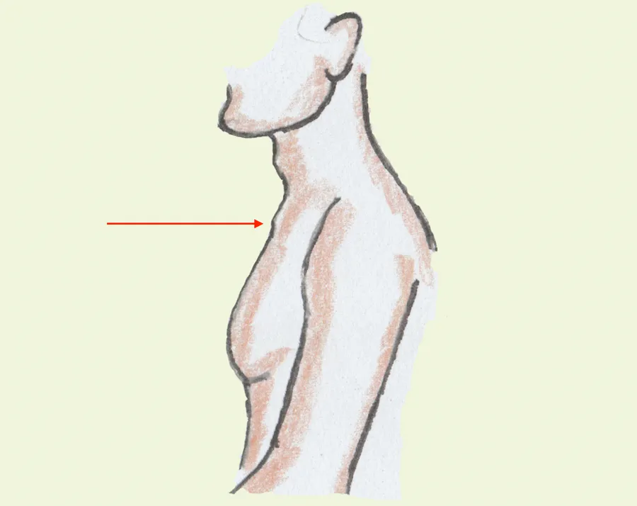 hãsli dʒaŋ