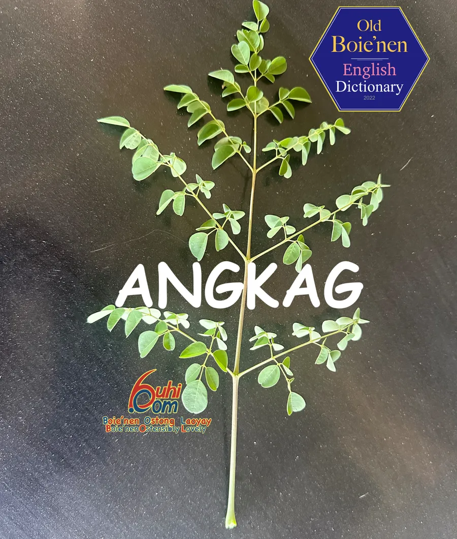 angkag