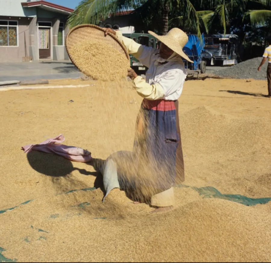 pa-ayap