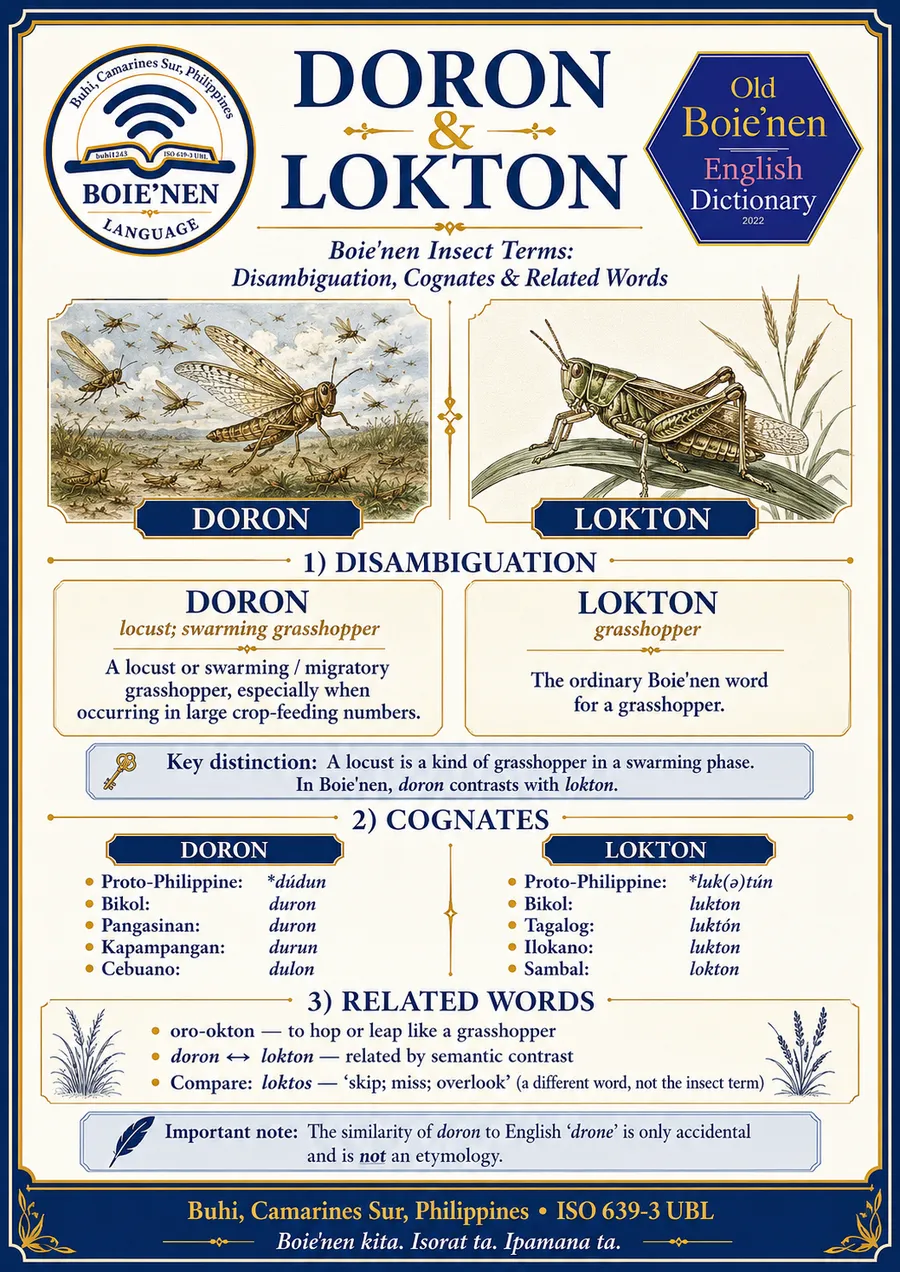 doron