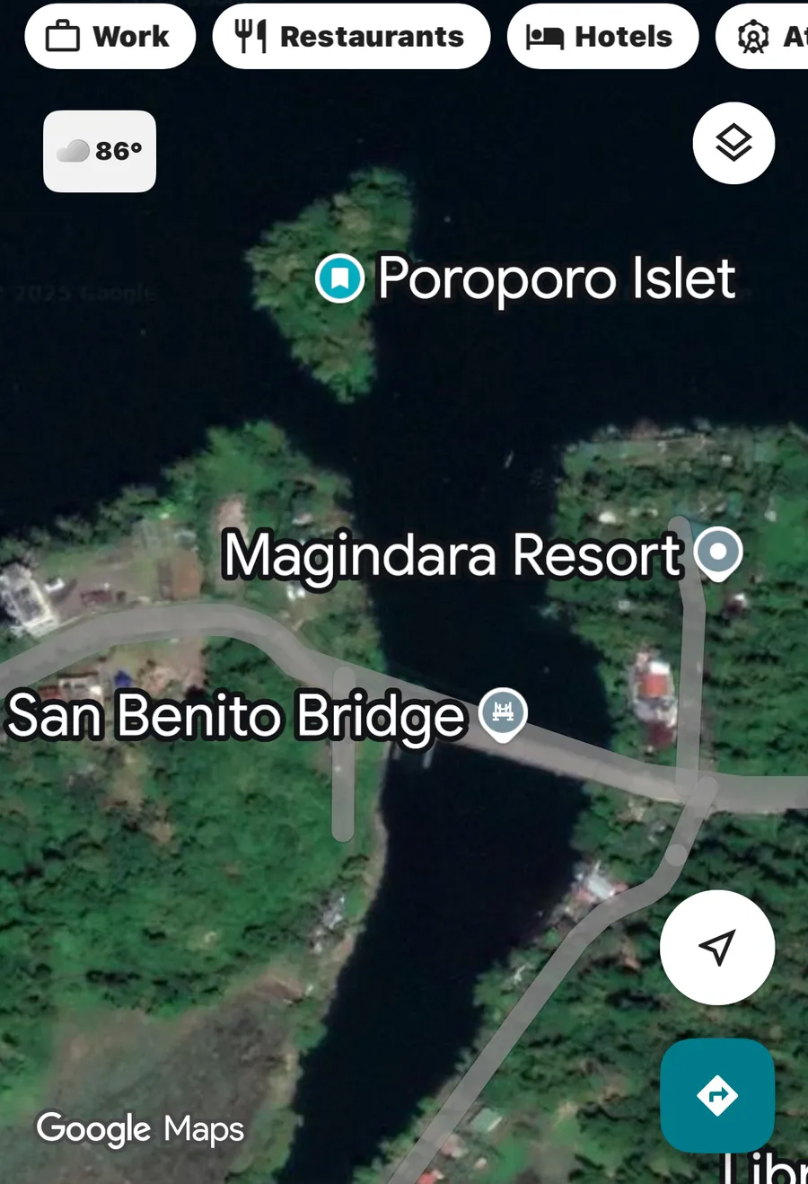 Poroporo