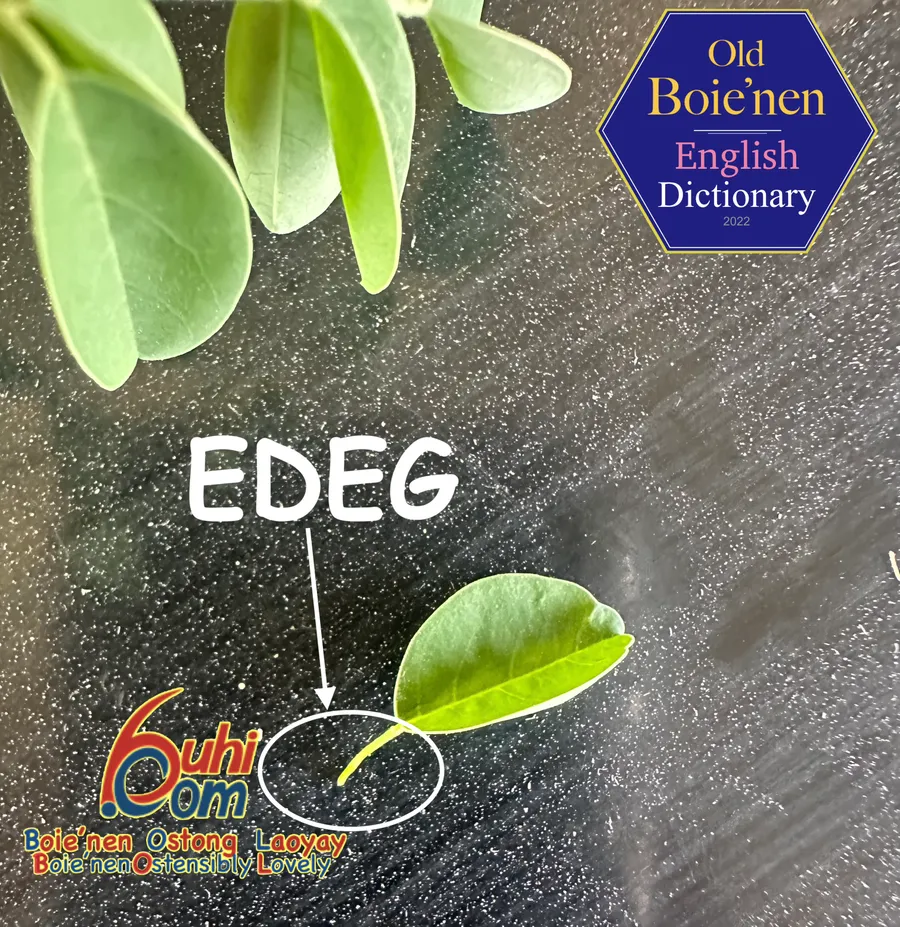 edeg