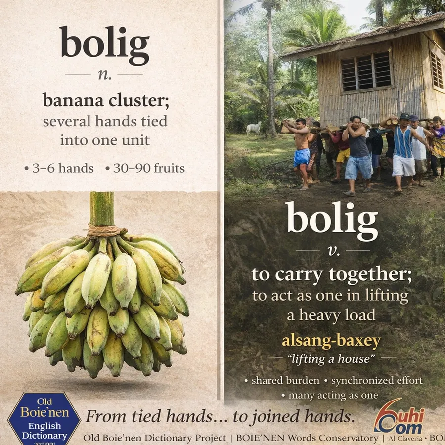 bolig