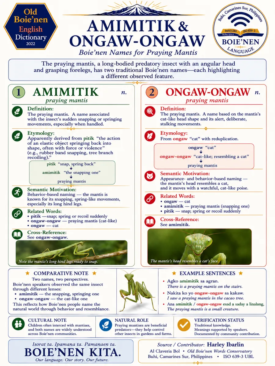 ongaw-ongaw