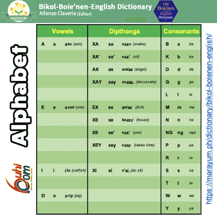 /ex/
