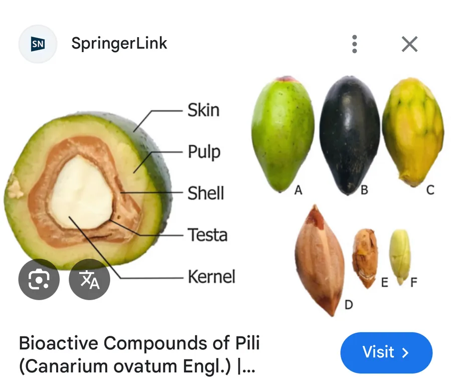 pili
