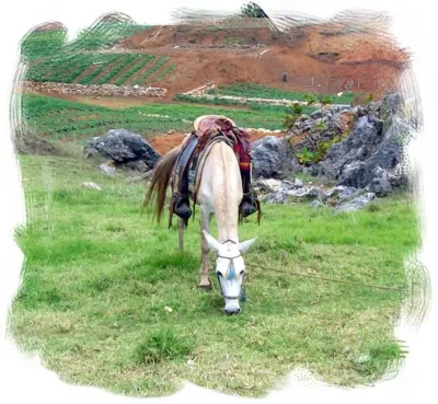 B'uru'