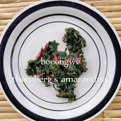 bonongwe