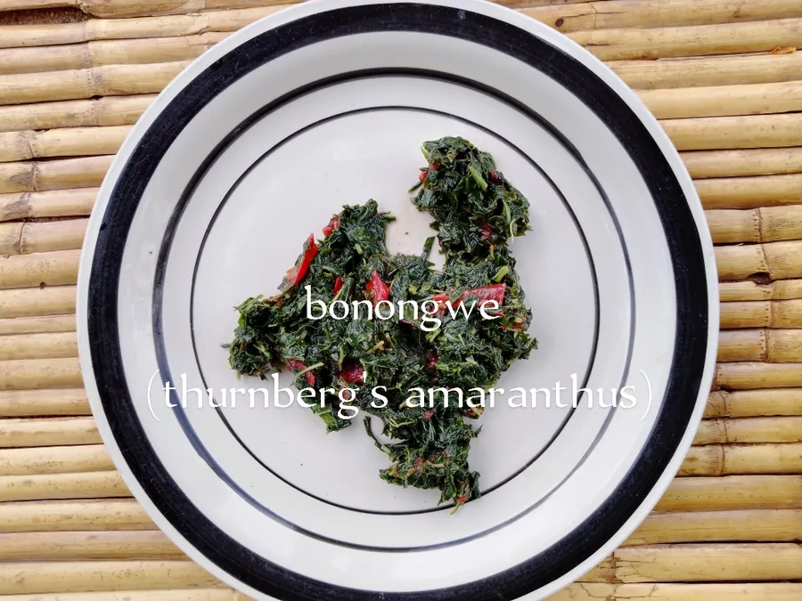 bonongwe