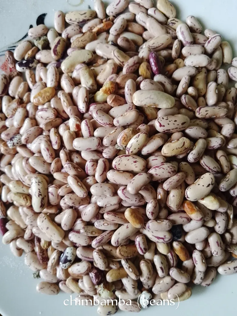 chimbamba