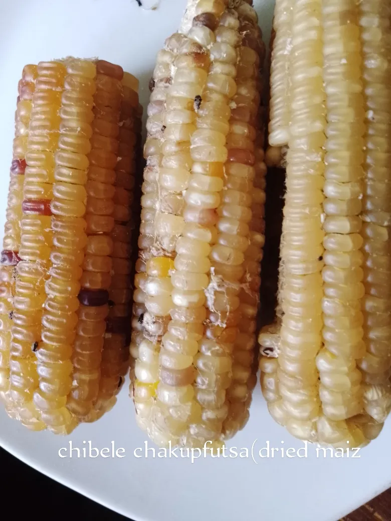 chibele chakupfutsa
