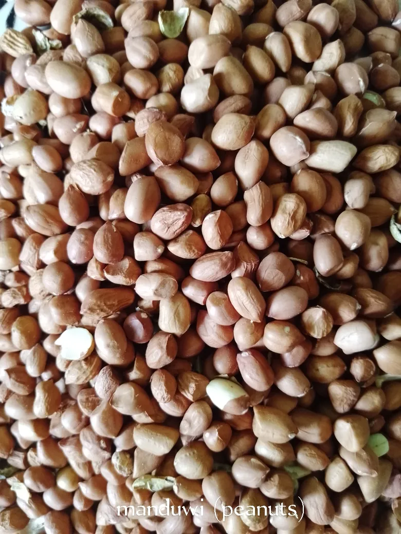 manduwi