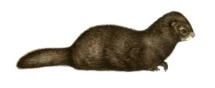 k‘e‘k‘L