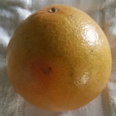 cherígi