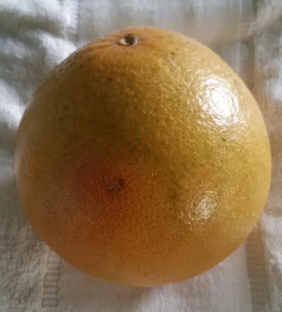 cherígi