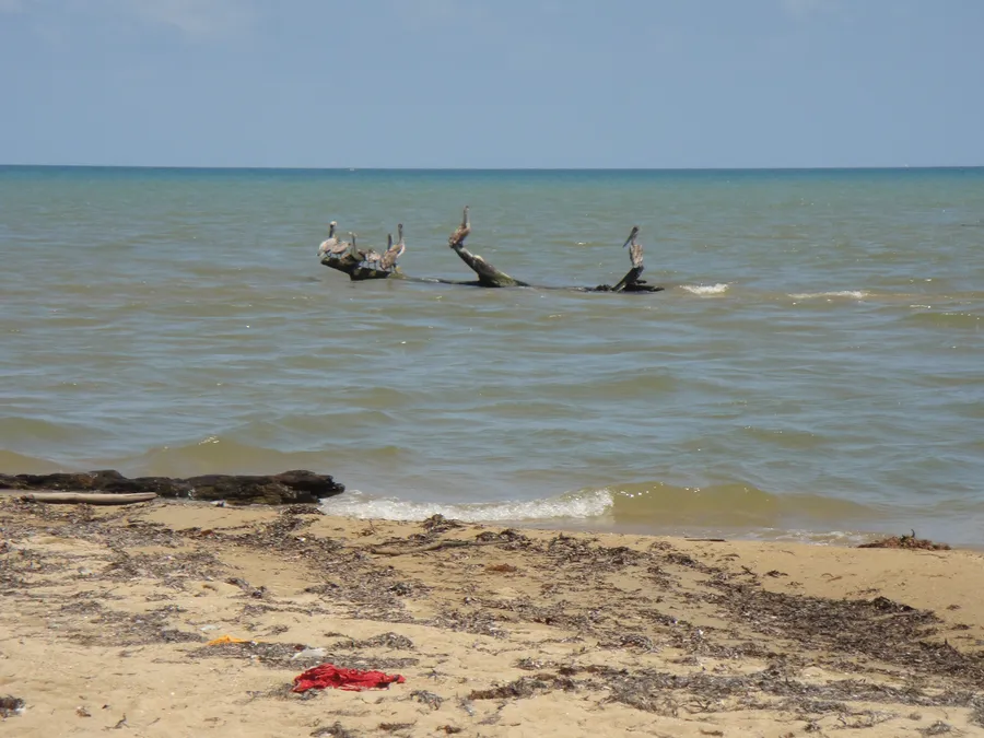 yalífu / yelífu