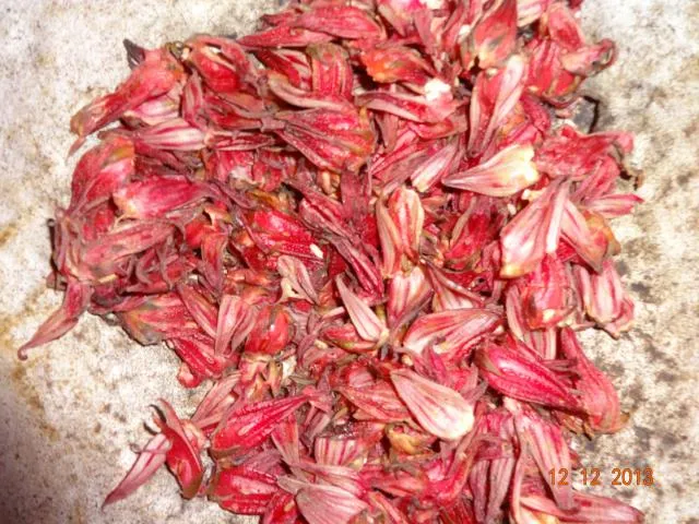 benɖa-tʃojʔ sari=ɖæ
