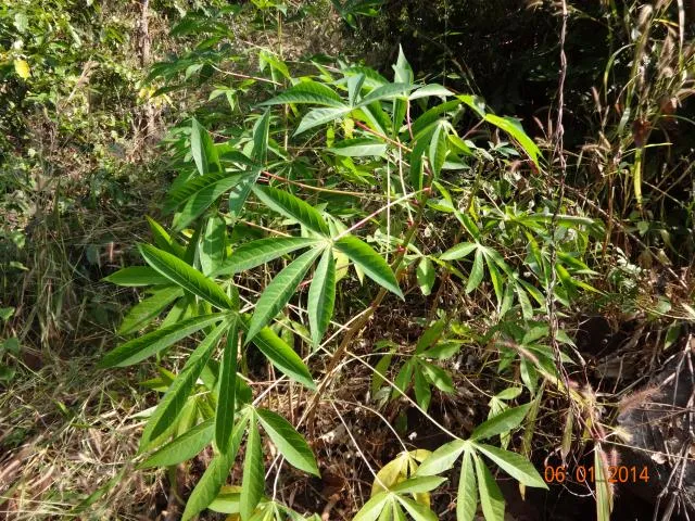 kere-laʔ