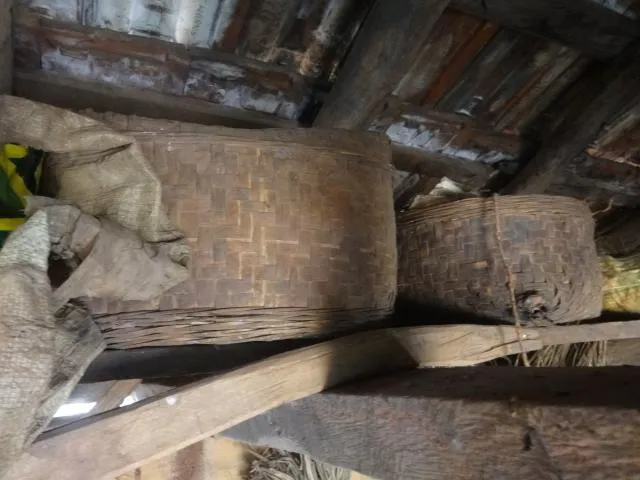 korli