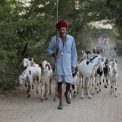अझण