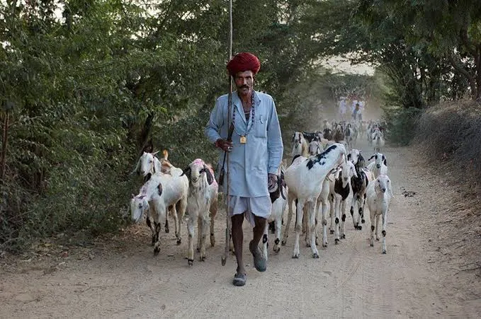 अझण
