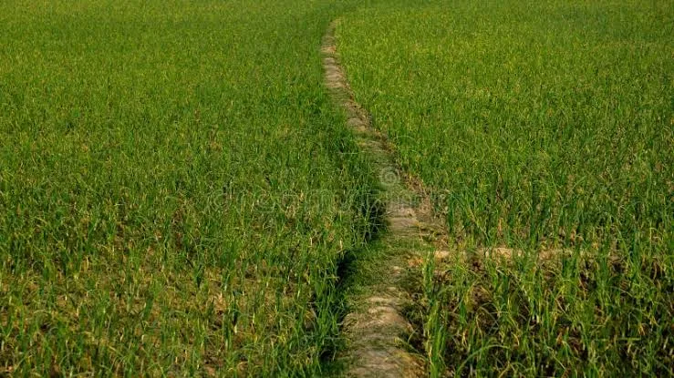 Aisle