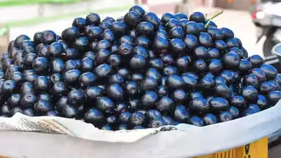 Zamgula